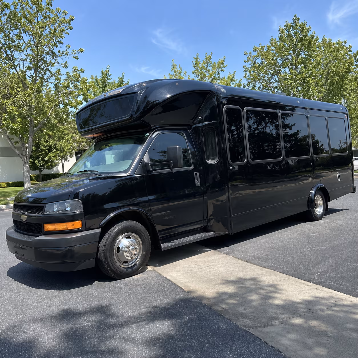20 Passenger Party Bus