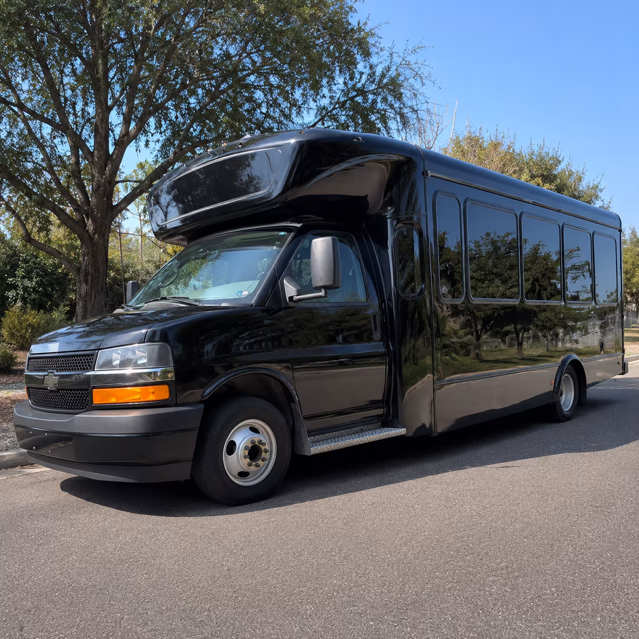 Peoria Birthday Transportation