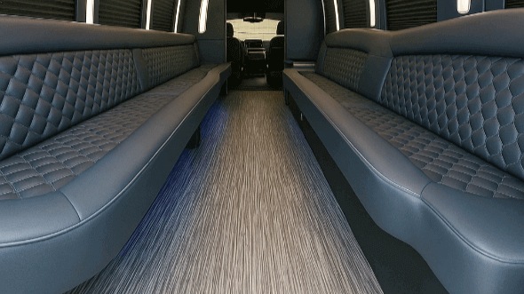 Interior of Charter Bus Company Avondale's 28 Passenger Party Bus in Avondale