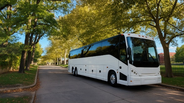 mesa concert transportation